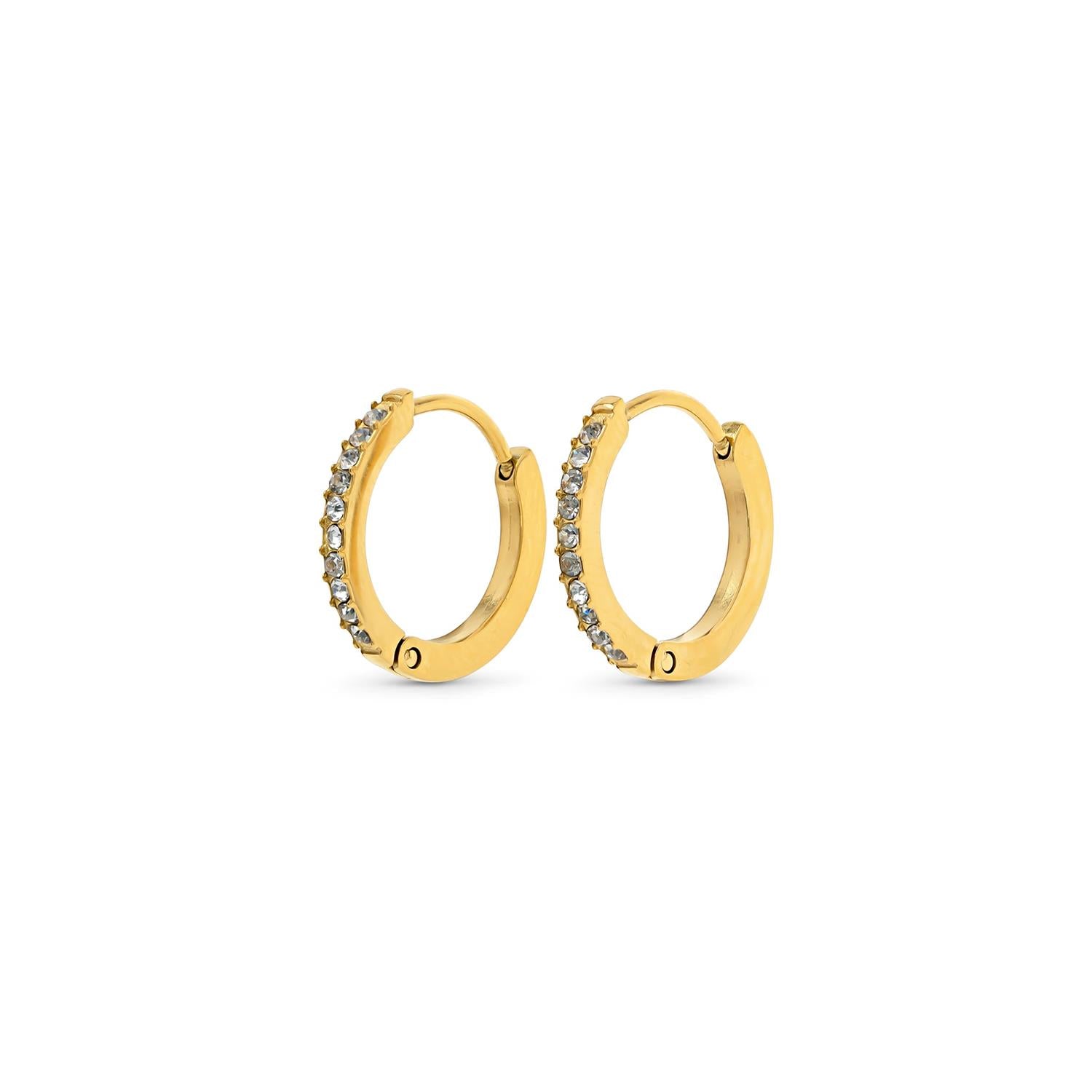 Nilea - Crystal Hoop Earrings Stainless Steel Gull