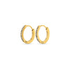Nilea - Crystal Hoop Earrings Stainless Steel Gull