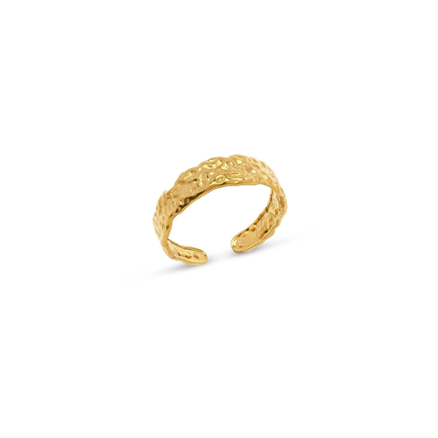 Tone - Hammered Ring Stainless Steel Gull