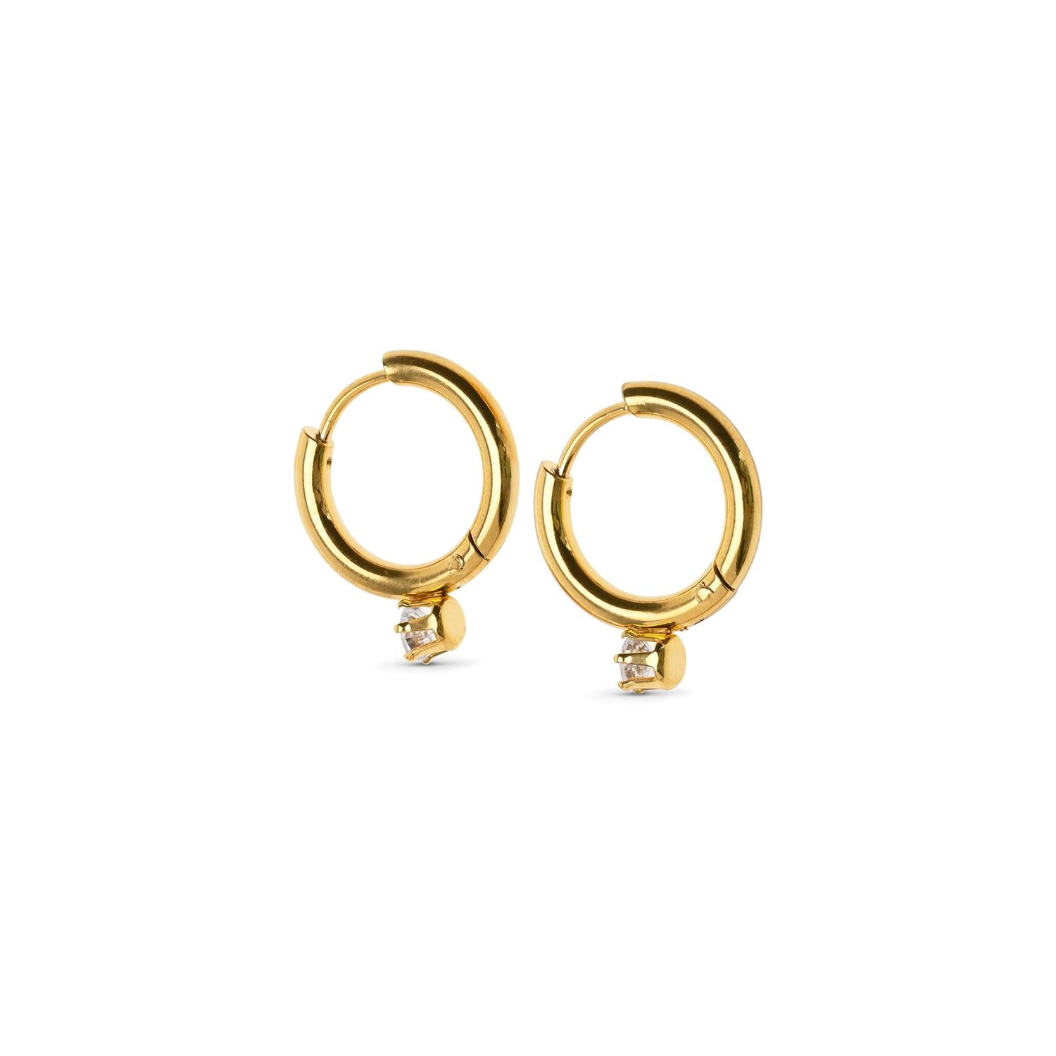 Oline - Crystal Hoop Earrings Stainless Steel Gull