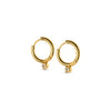 Oline - Crystal Hoop Earrings Stainless Steel Gull