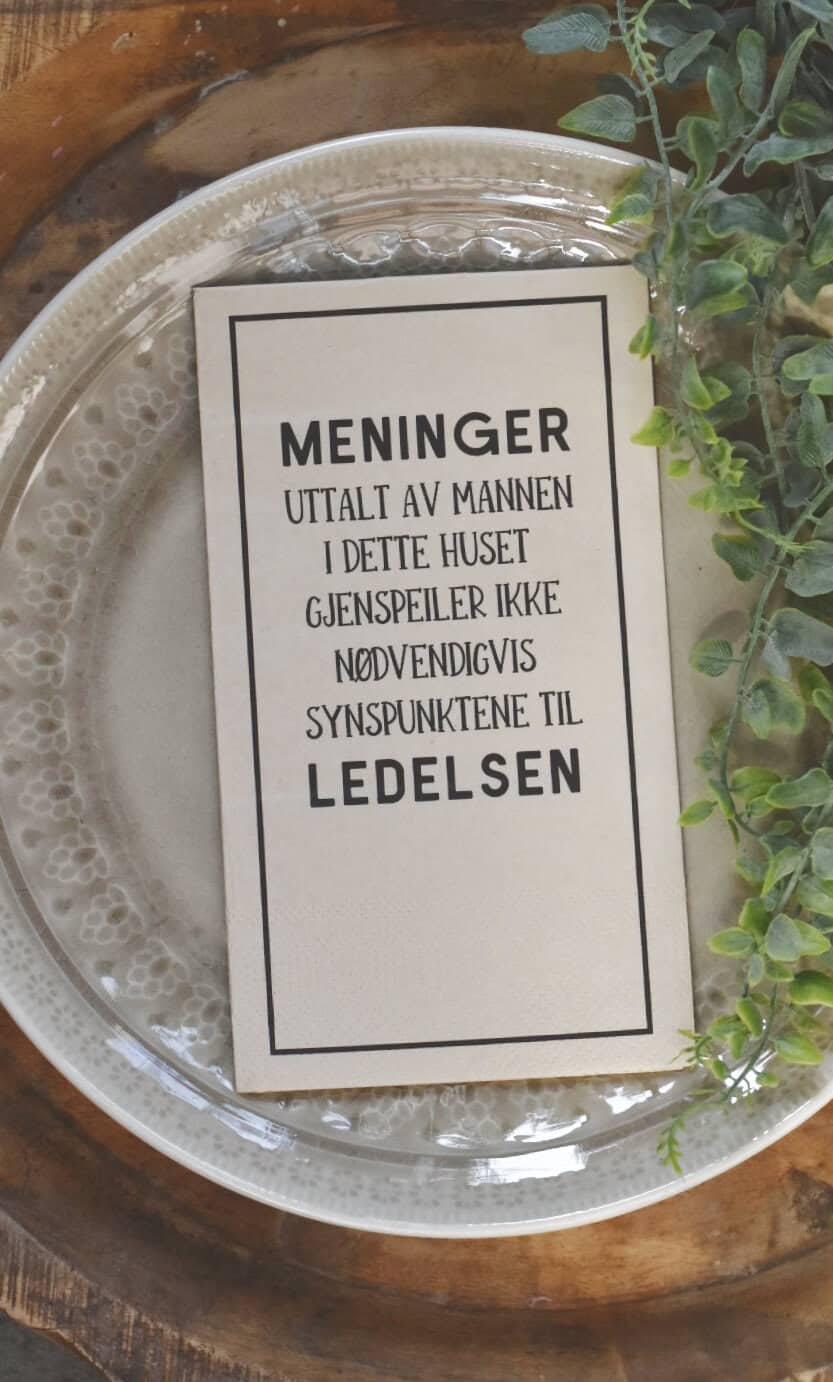 SERVIETT «MENINGER UTTALT AV MANNEN»