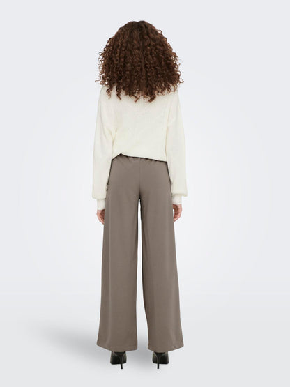 JDYGEGGO LIFE NEW LONG PANT JRS NOOS Lysebrun