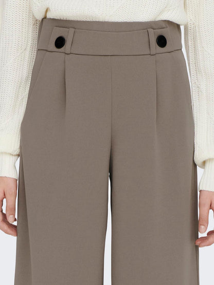 JDYGEGGO LIFE NEW LONG PANT JRS NOOS Lysebrun
