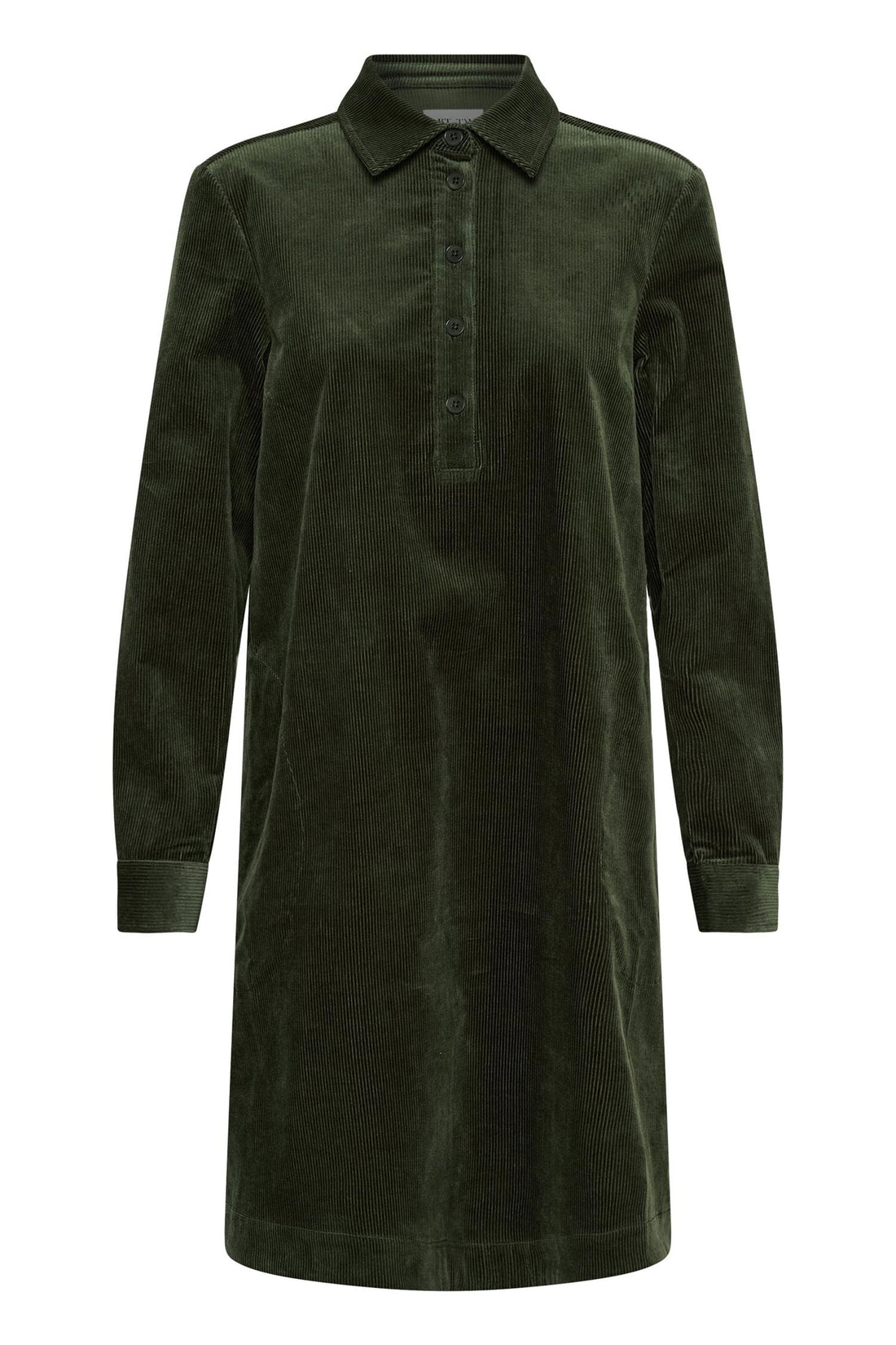 Corinthapw Dress Grønn