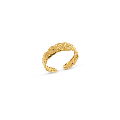 Tone - Hammered Ring Stainless Steel Gull