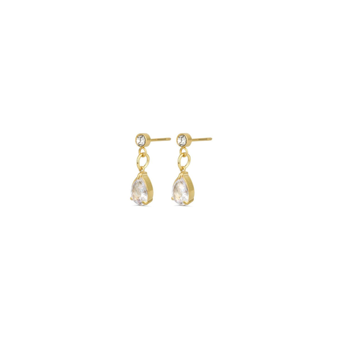 Roslyn - Crystal Stud Earrings Stainless Steel Gull