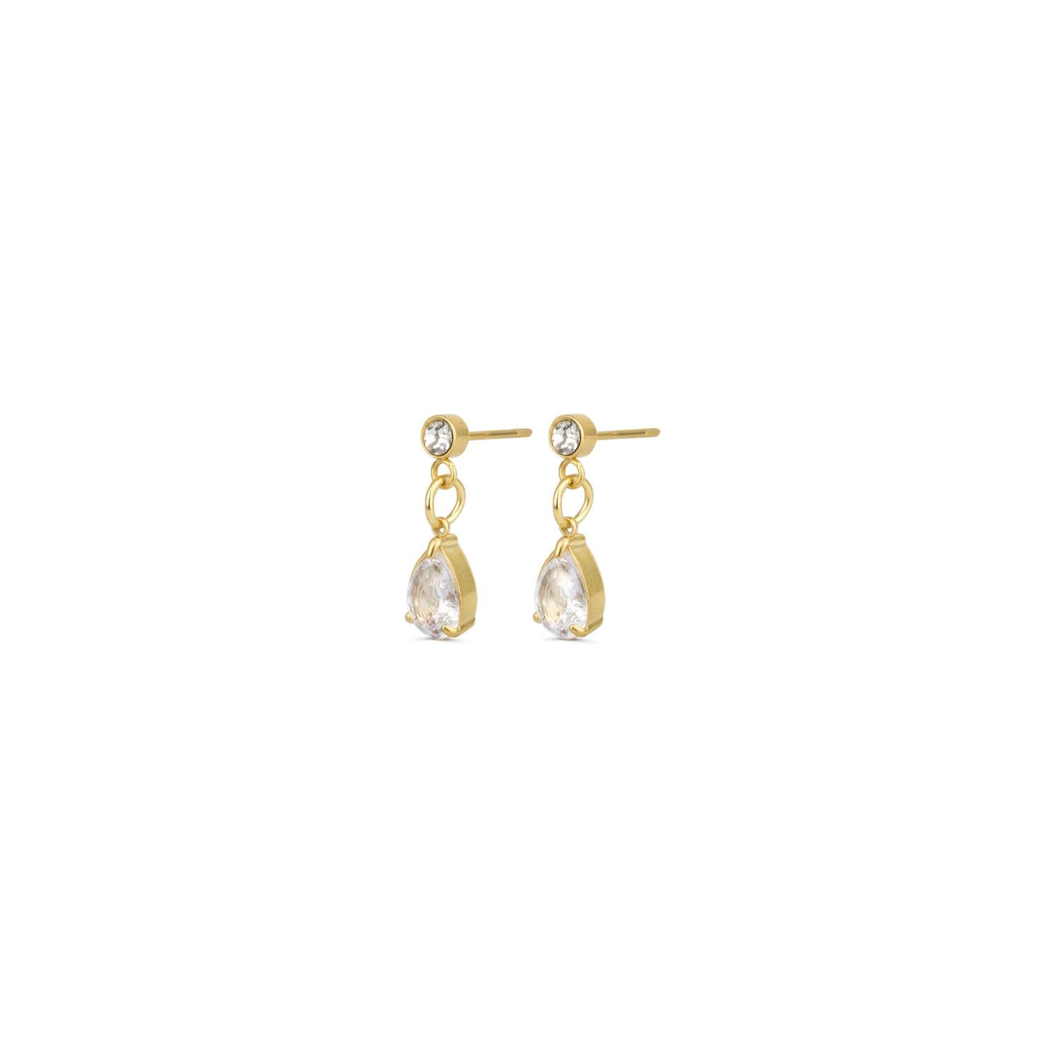 Roslyn - Crystal Stud Earrings Stainless Steel Gull