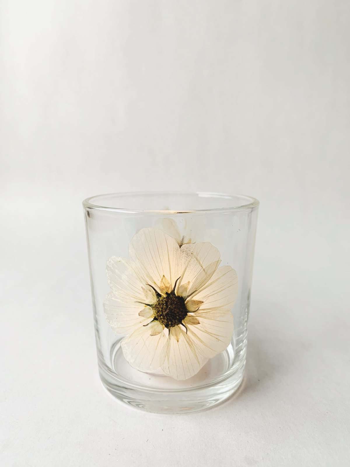 Lysglass Botanikk 7×8 Cm Creme